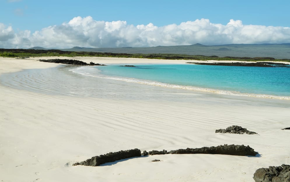 Cerro Brujo, San Cristóbal Island, Galápagos - Cerro-Brujo-San-Cristobal-_420.jpg